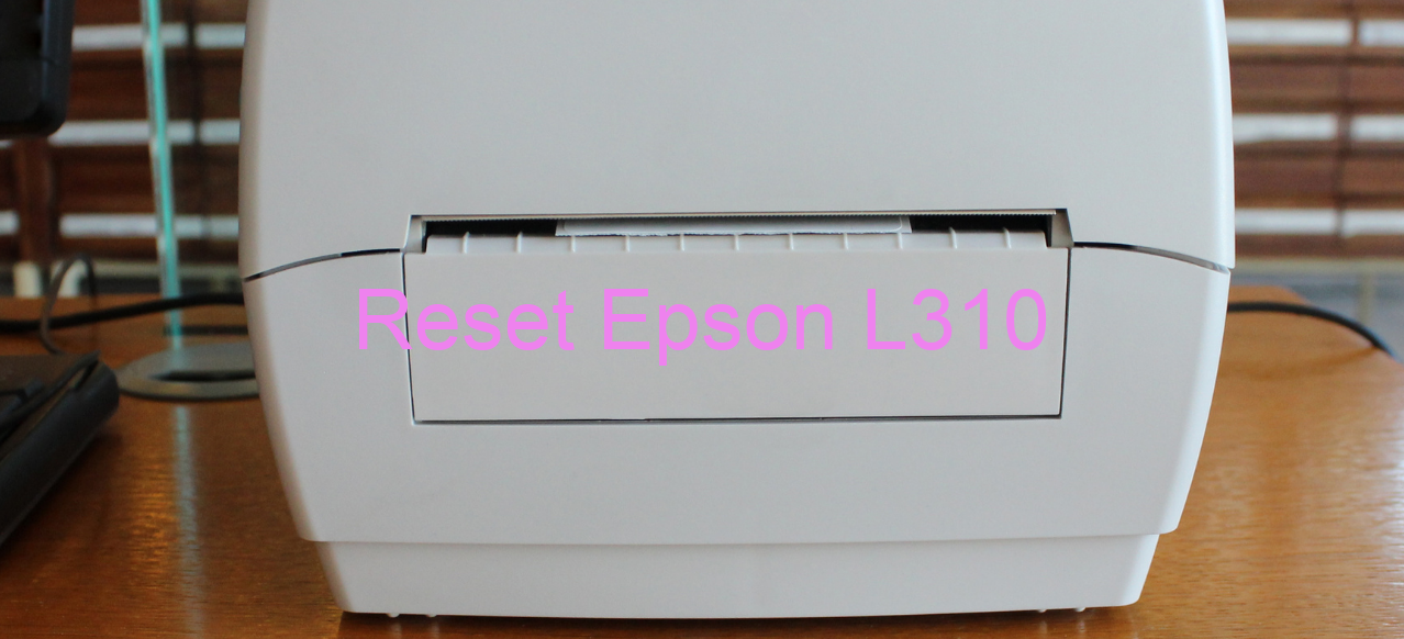 reset Epson L310
