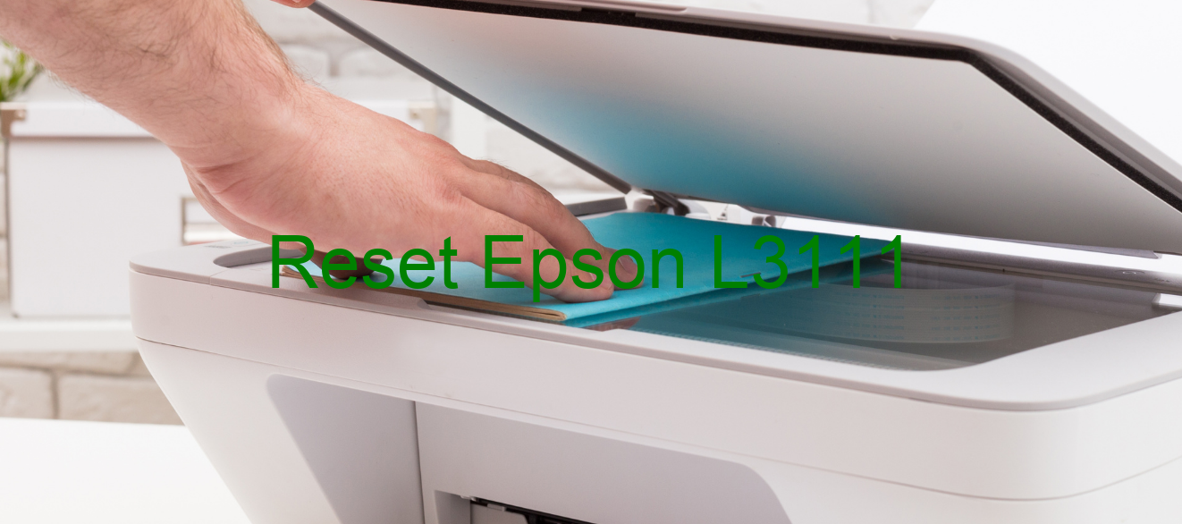 reset Epson L3111