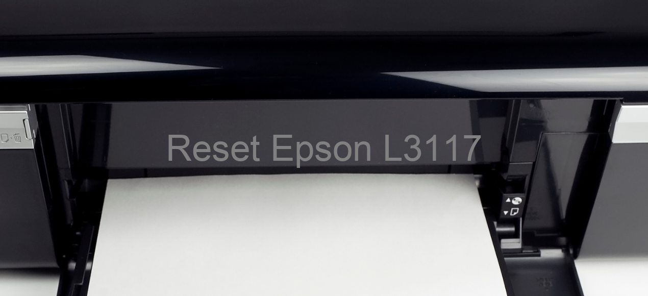reset Epson L3117