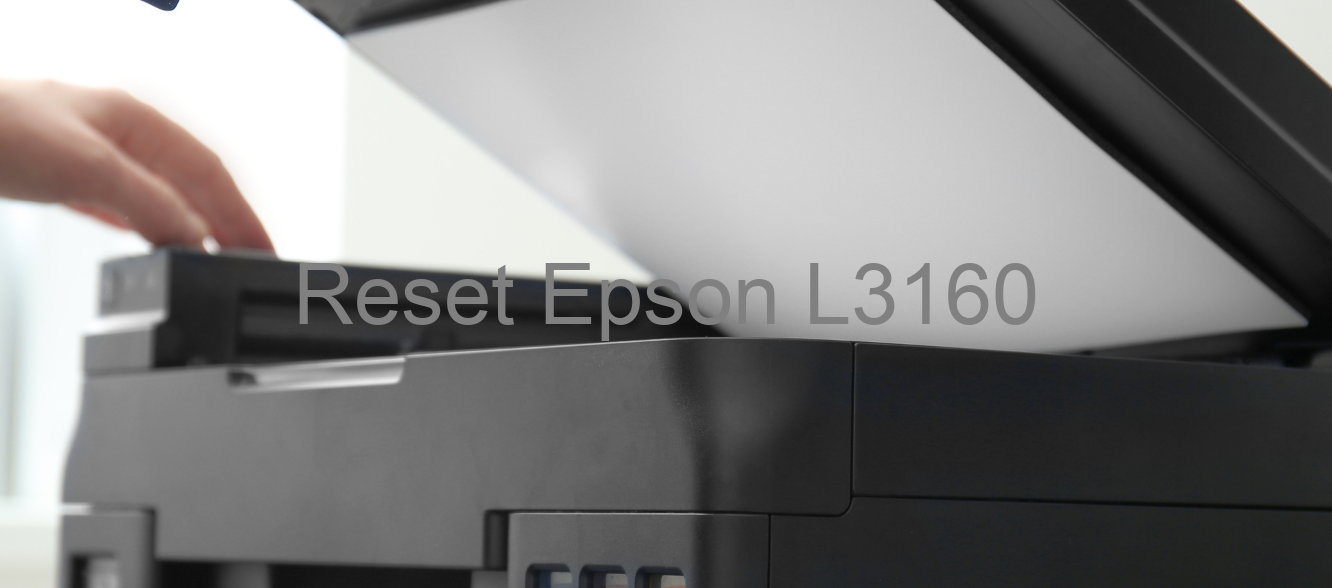 reset Epson L3160