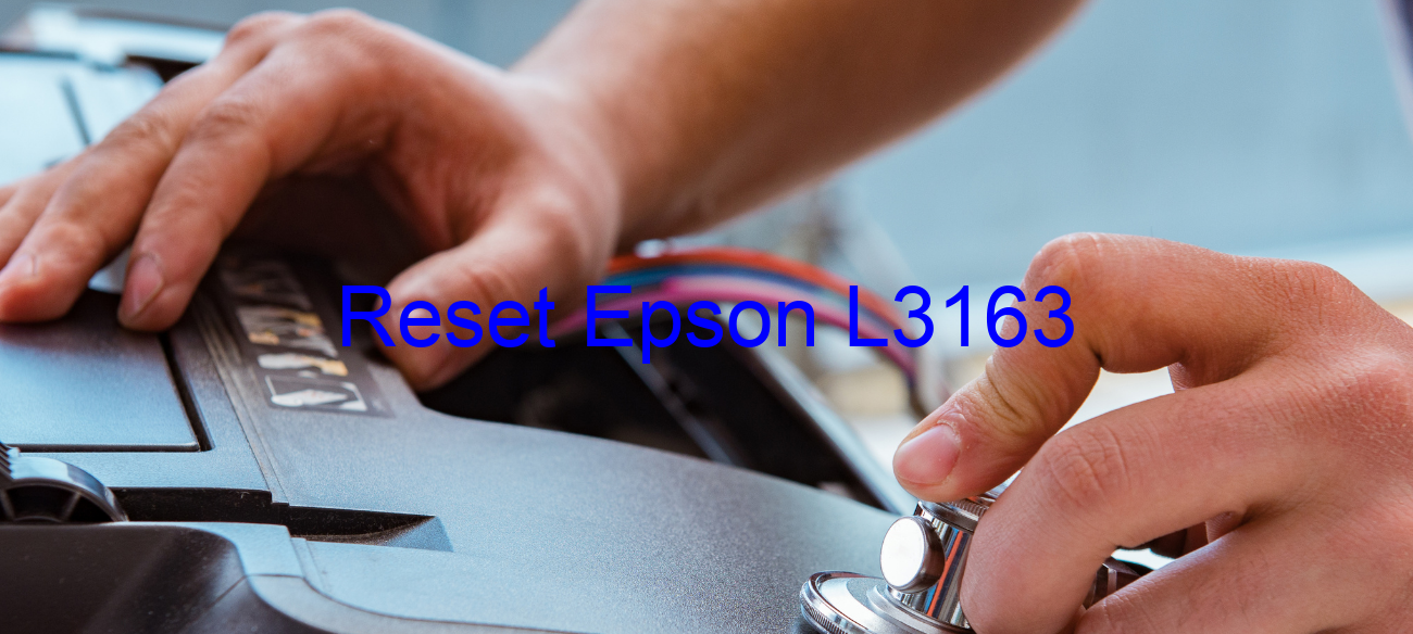 reset Epson L3163