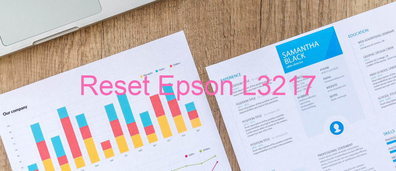 reset Epson L3217
