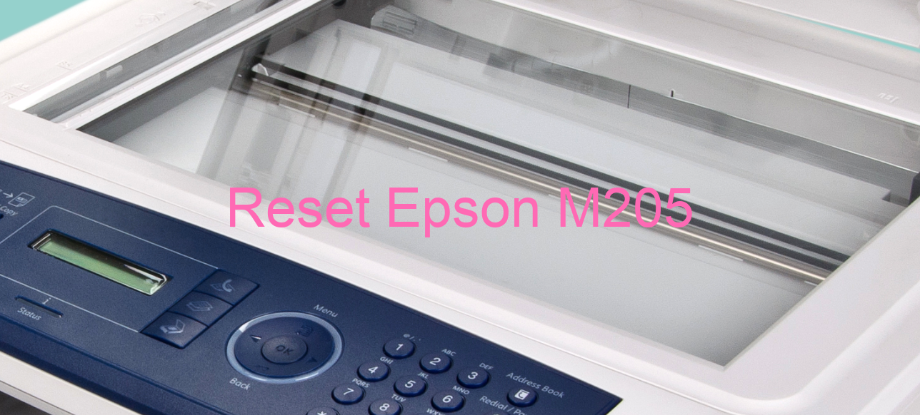 reset Epson M205
