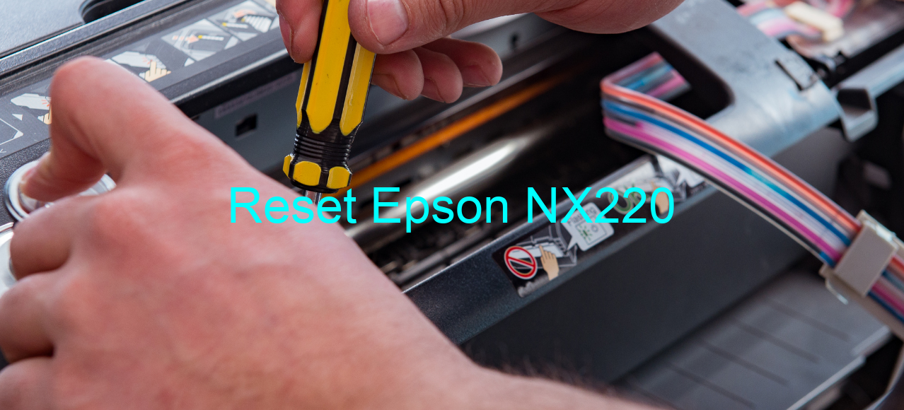 reset Epson NX220