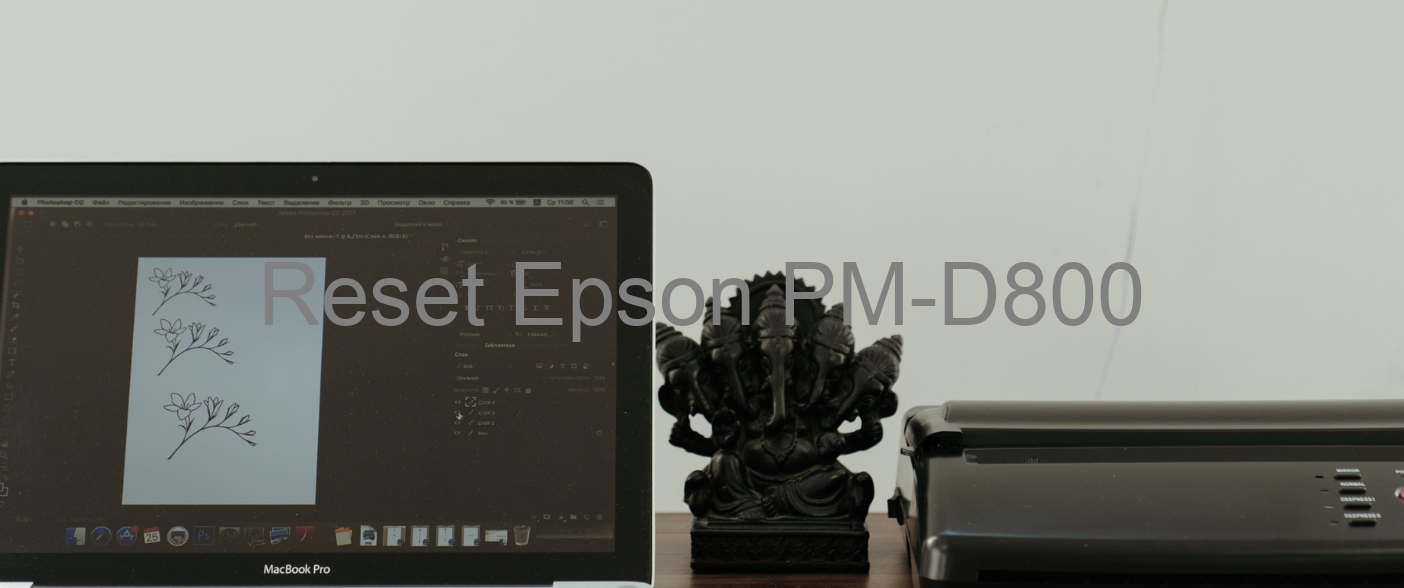 reset Epson PM-D800