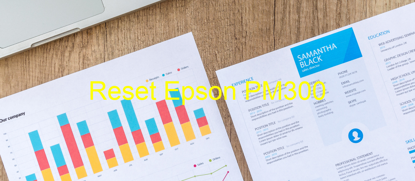 reset Epson PM300