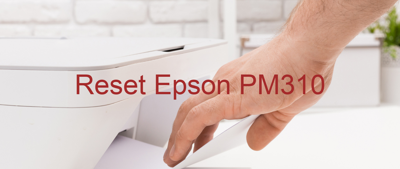 reset Epson PM310