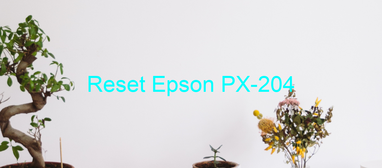 reset Epson PX-204