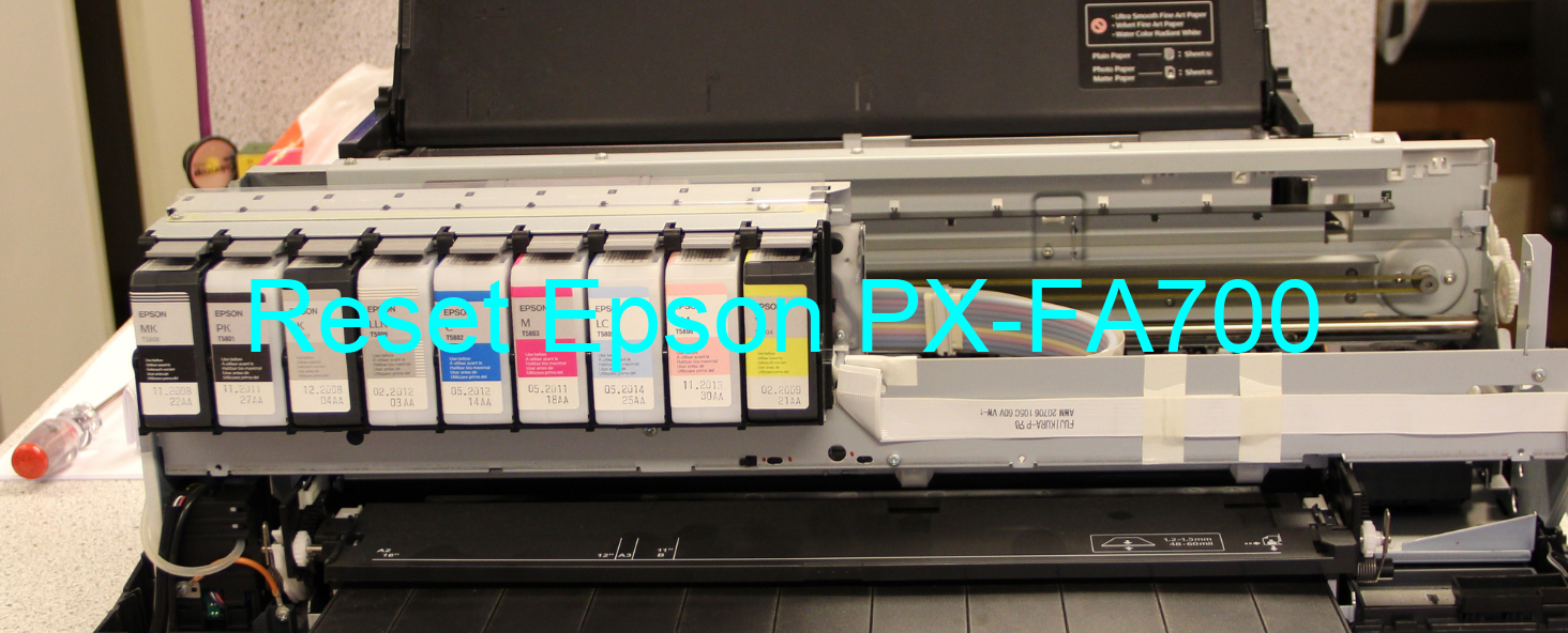 reset Epson PX-FA700