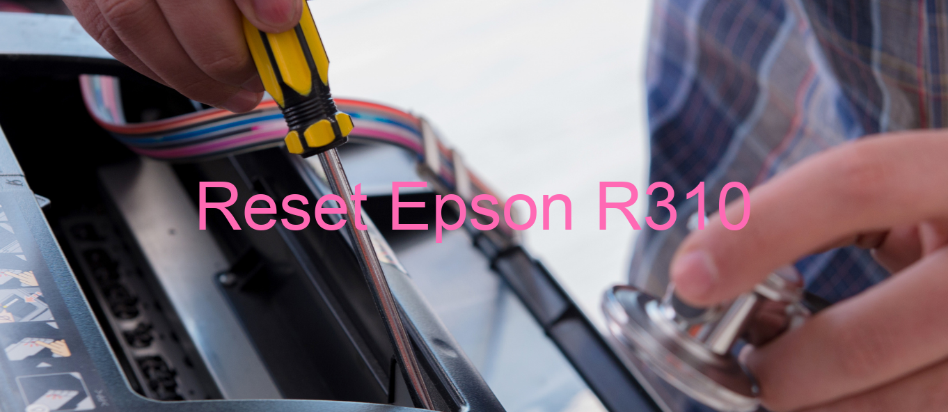 reset Epson R310