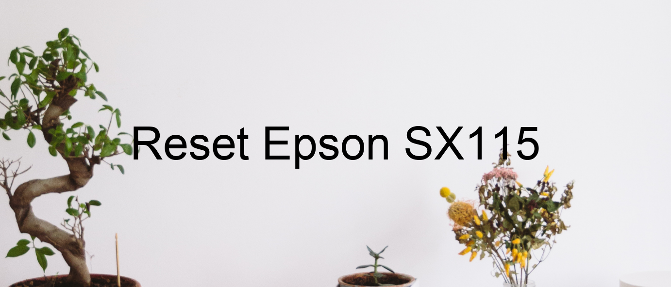 reset Epson SX115