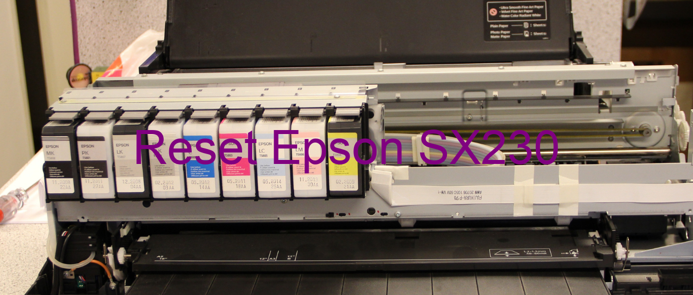 reset Epson SX230