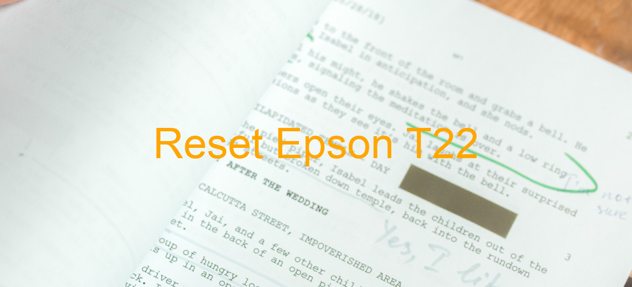 reset Epson T22