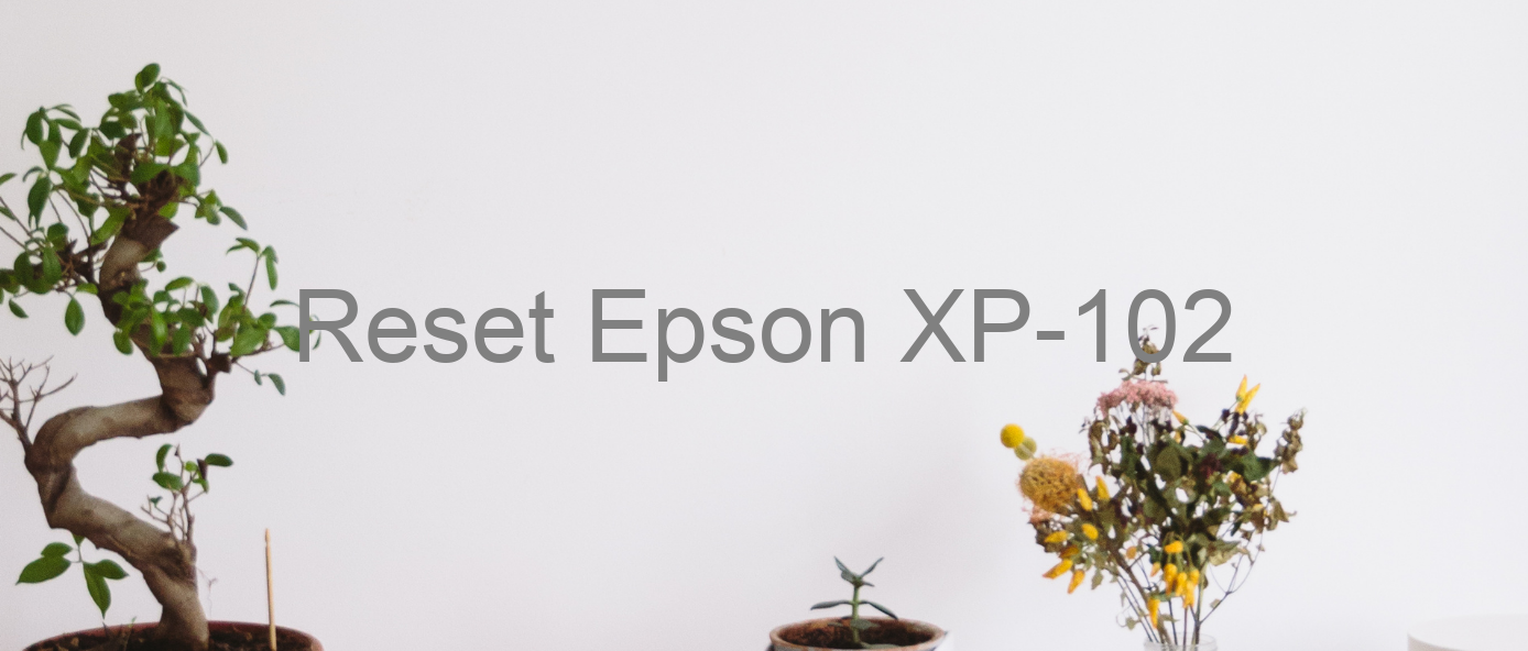 reset Epson XP-102