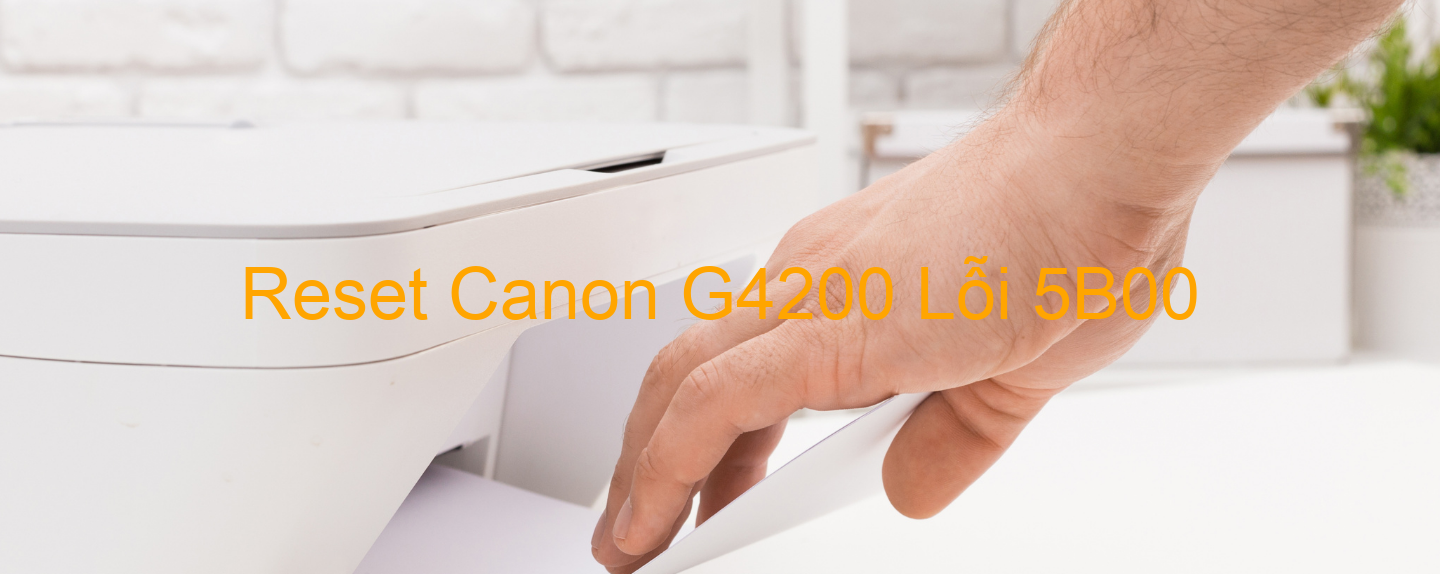 Reset Canon G4200 Lỗi 5B00