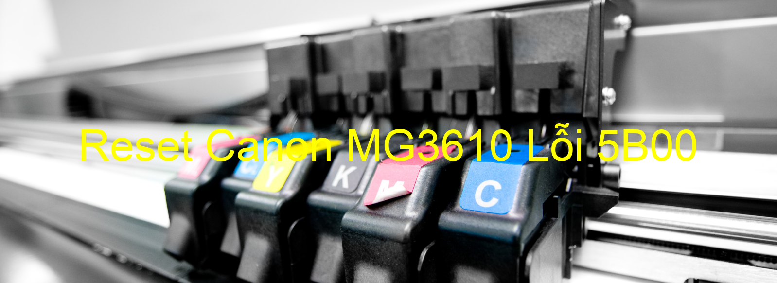 Reset Canon MG3610 Lỗi 5B00