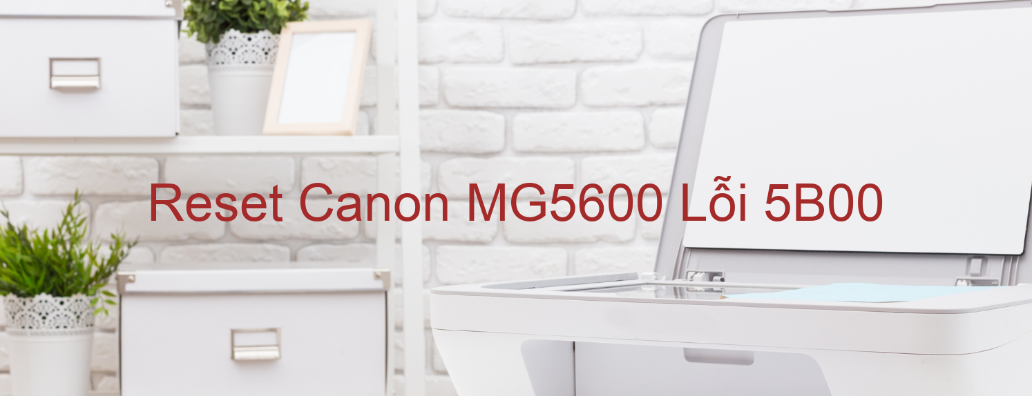 Reset Canon MG5600 Lỗi 5B00