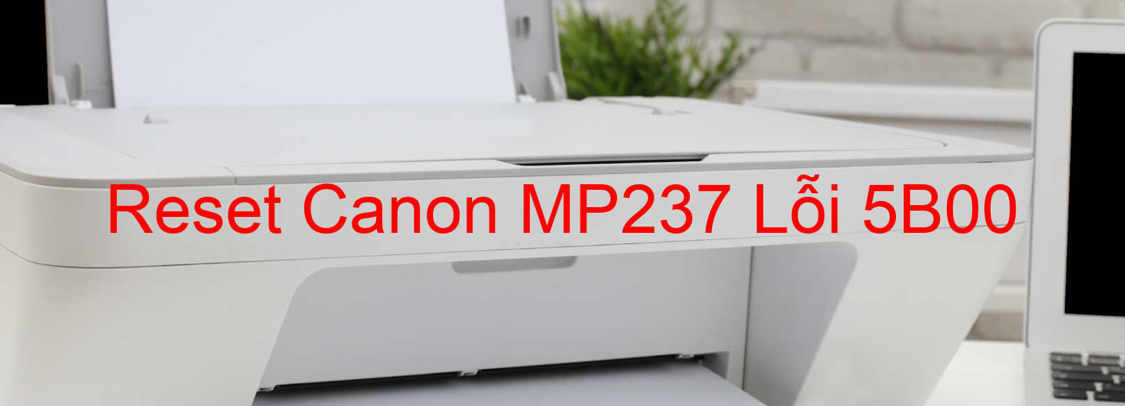 Reset Canon MP237 Lỗi 5B00