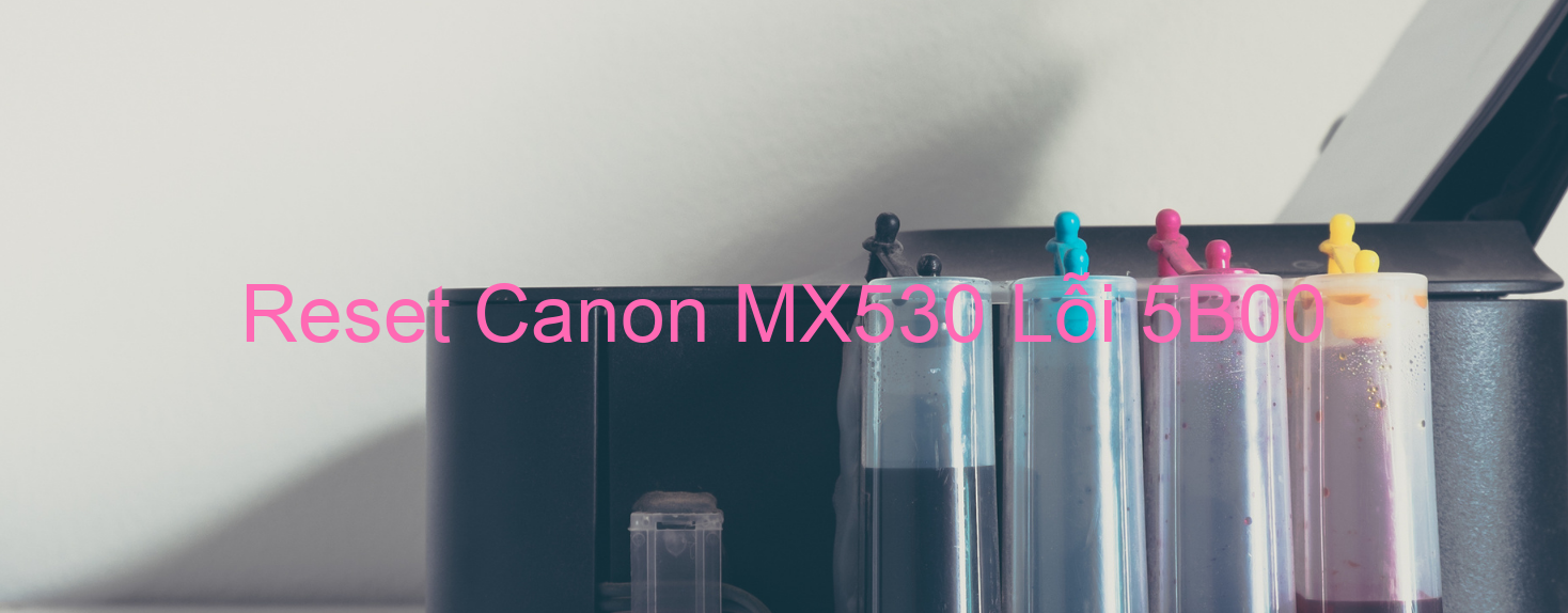 Reset Canon MX530 Lỗi 5B00