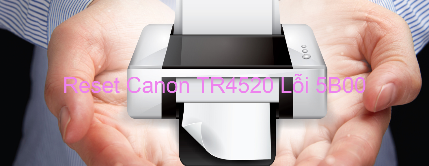 Reset Canon TR4520 Lỗi 5B00