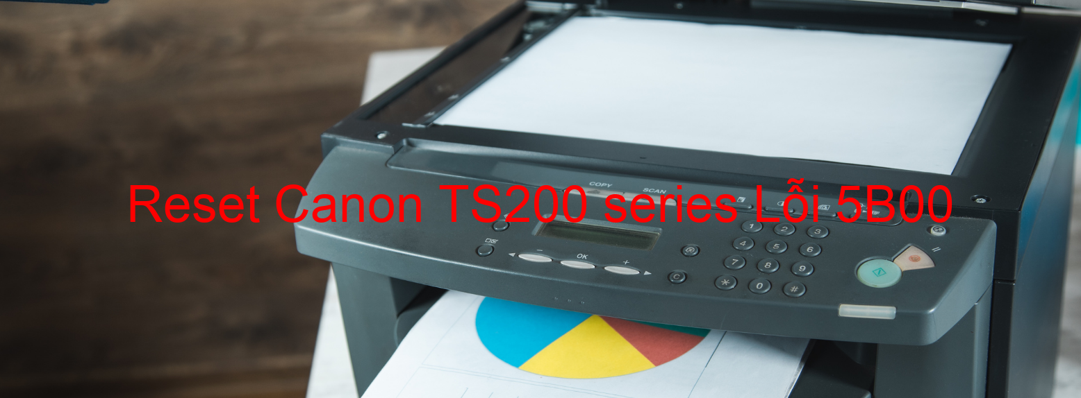 Reset Canon TS200 series Lỗi 5B00