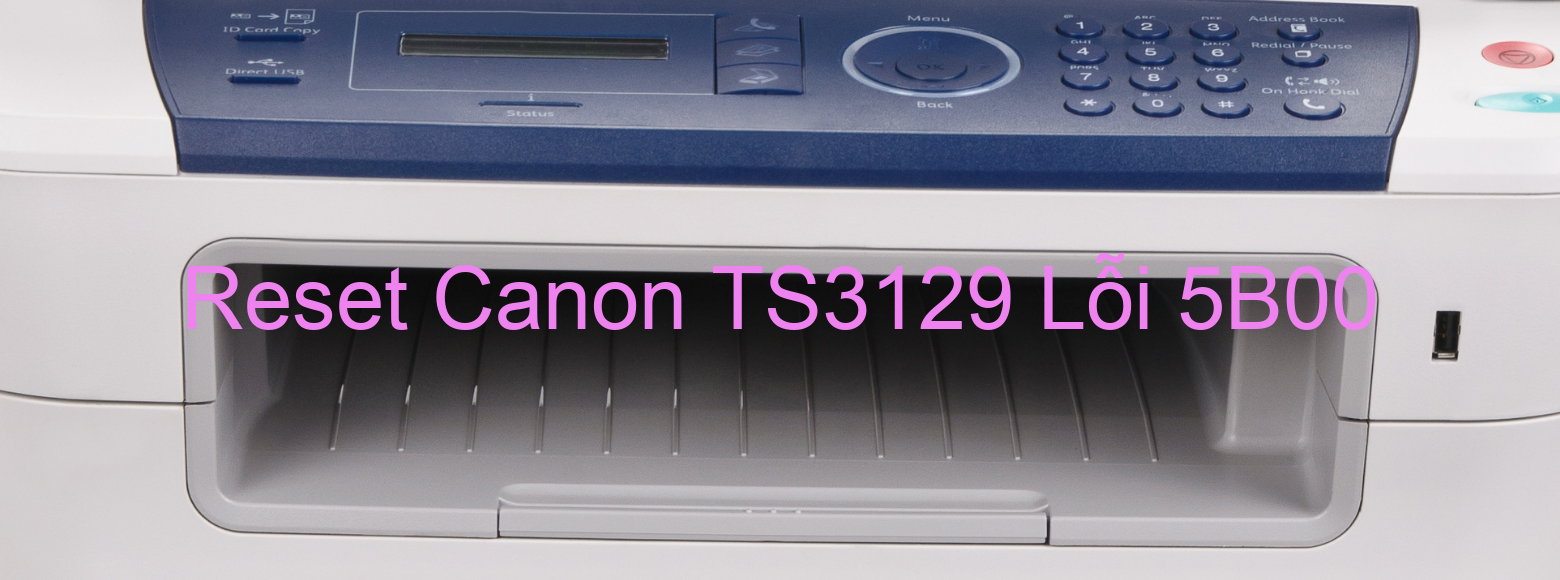 Reset Canon TS3129 Lỗi 5B00