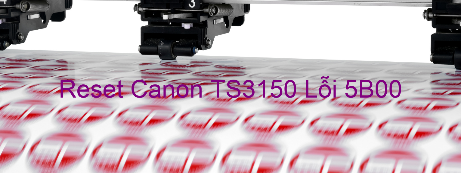 Reset Canon TS3150 Lỗi 5B00