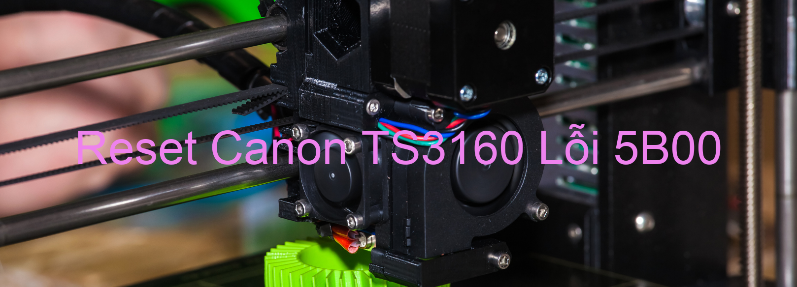 Reset Canon TS3160 Lỗi 5B00