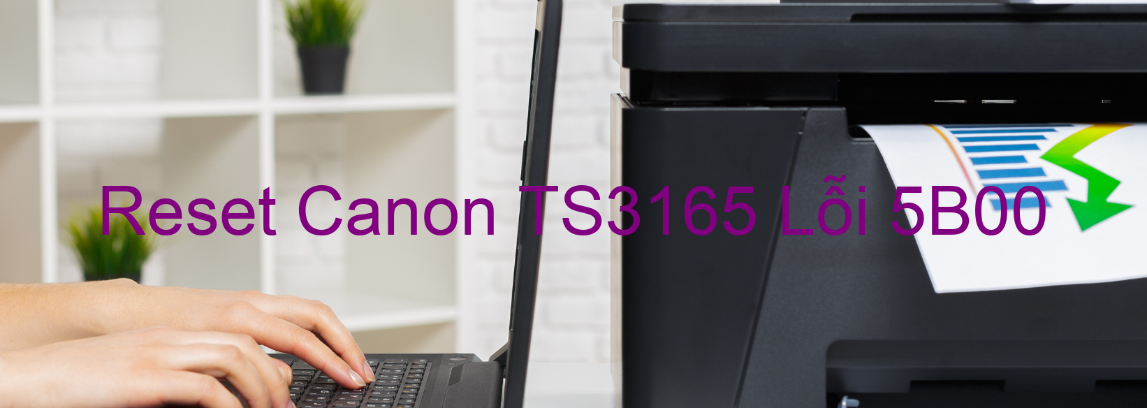 Reset Canon TS3165 Lỗi 5B00
