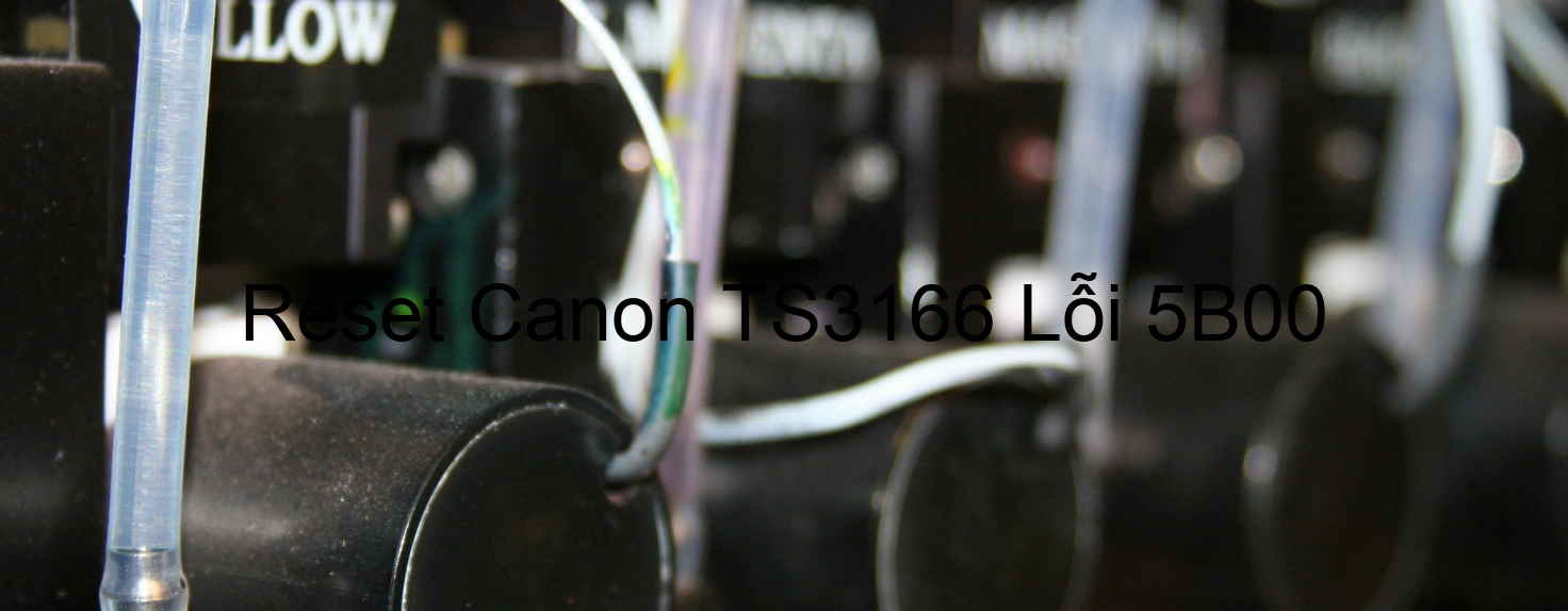 Reset Canon TS3166 Lỗi 5B00