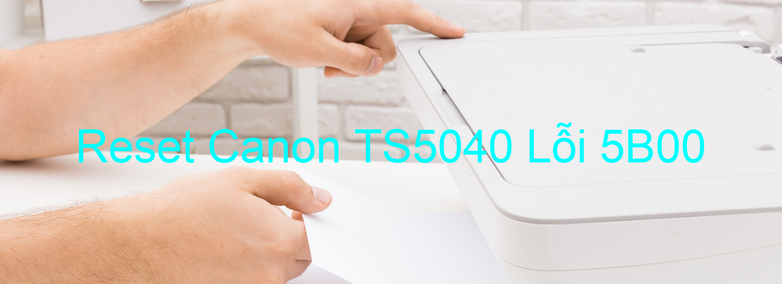 Reset Canon TS5040 Lỗi 5B00