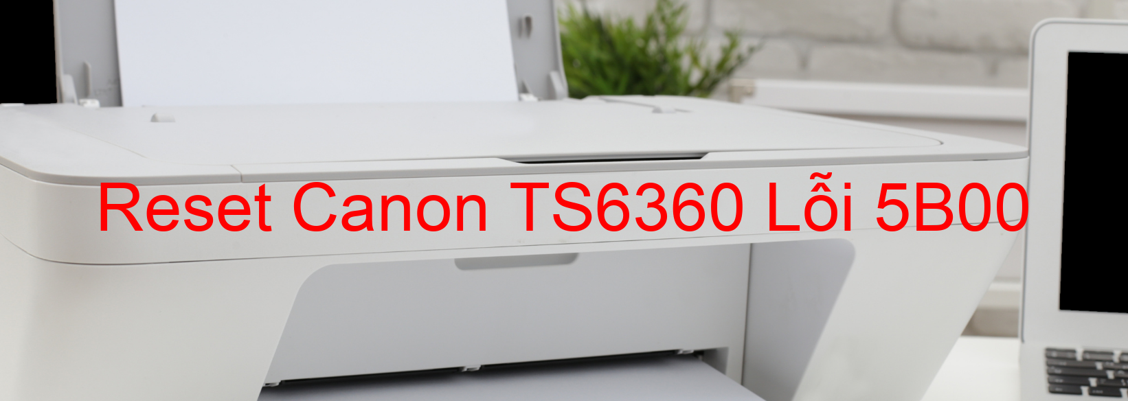 Reset Canon TS6360 Lỗi 5B00