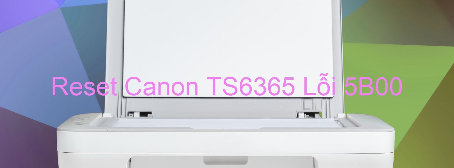 Reset Canon TS6365 Lỗi 5B00