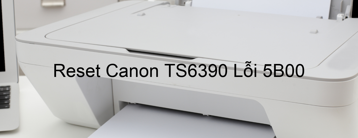 Reset Canon TS6390 Lỗi 5B00