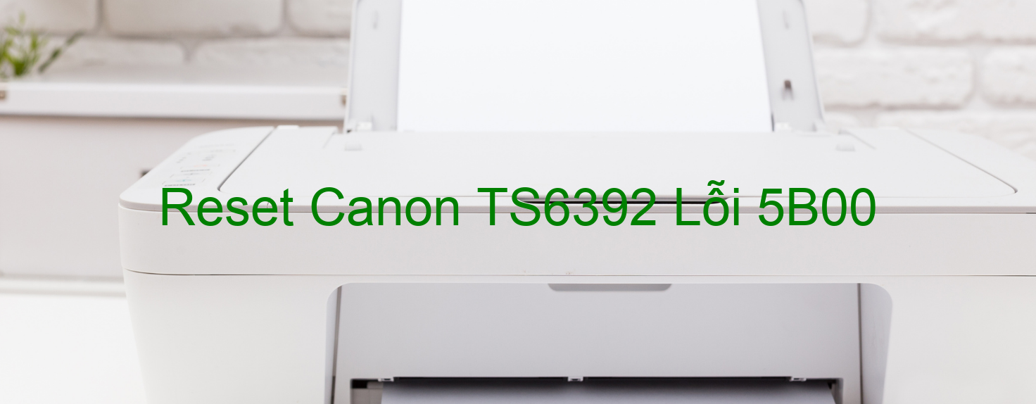 Reset Canon TS6392 Lỗi 5B00