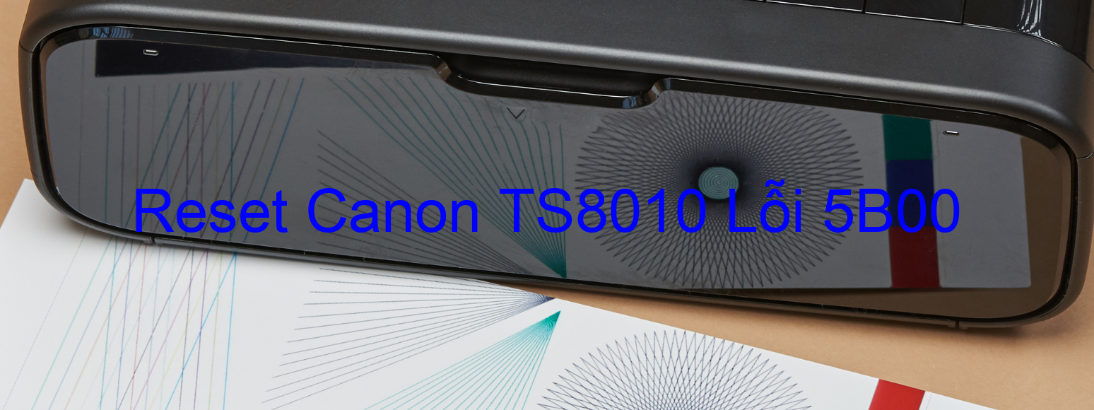 Reset Canon TS8010 Lỗi 5B00