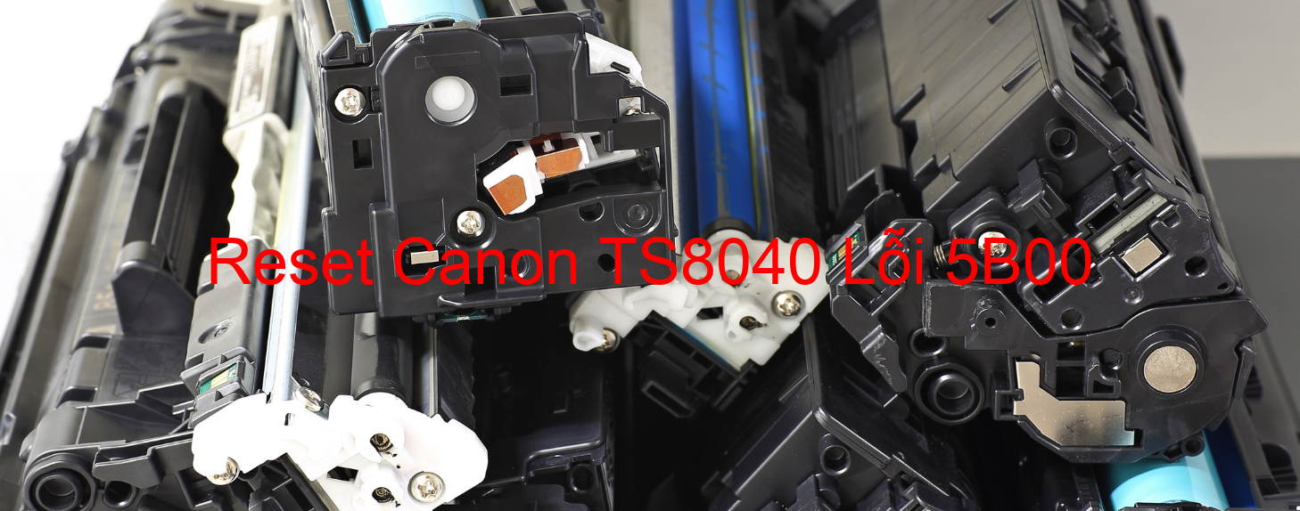 Reset Canon TS8040 Lỗi 5B00