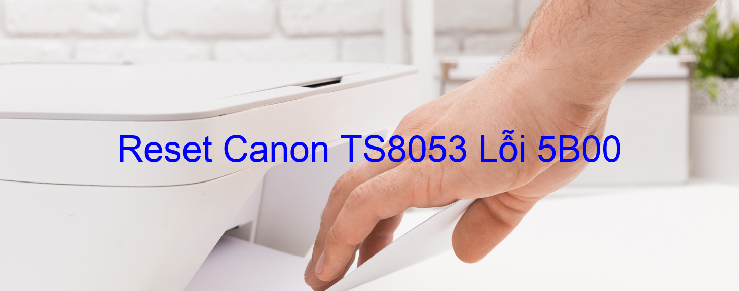 Reset Canon TS8053 Lỗi 5B00