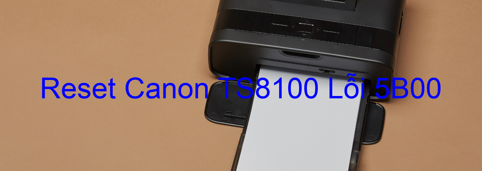 Reset Canon TS8100 Lỗi 5B00