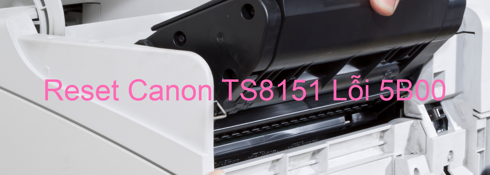 Reset Canon TS8151 Lỗi 5B00