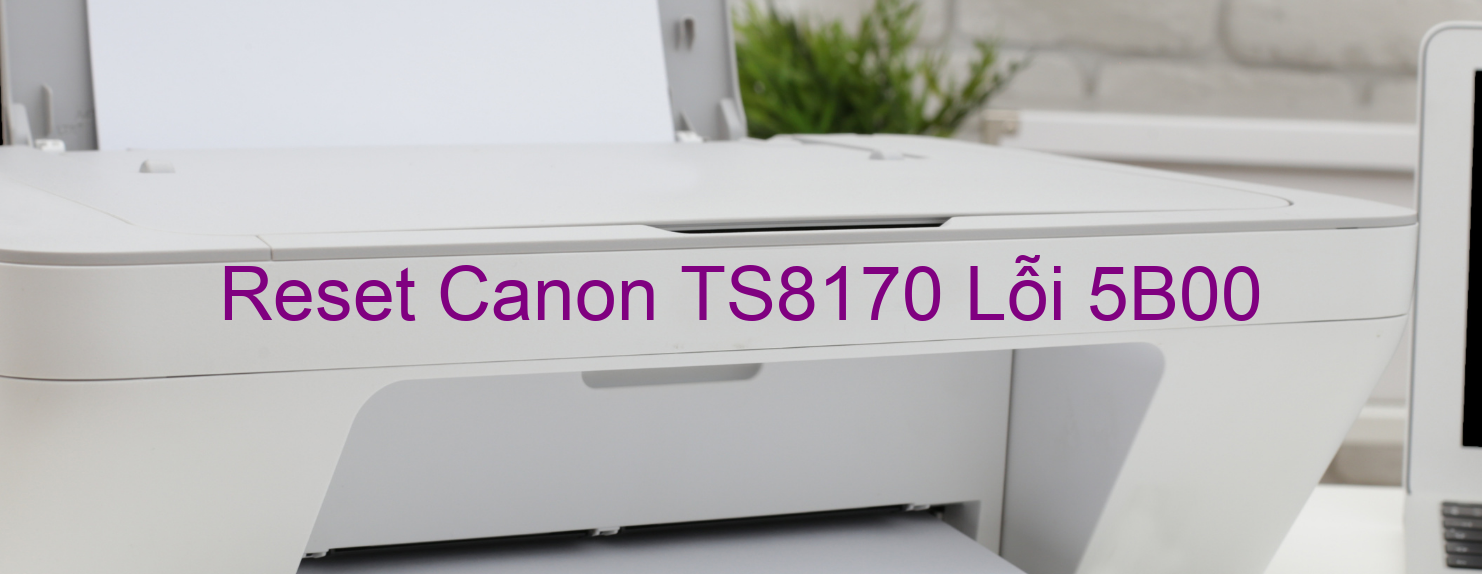Reset Canon TS8170 Lỗi 5B00