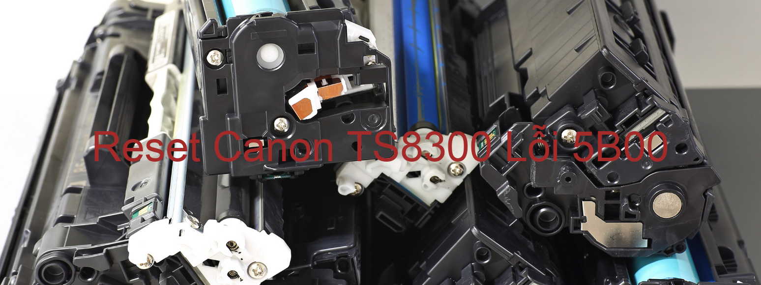 Reset Canon TS8300 Lỗi 5B00