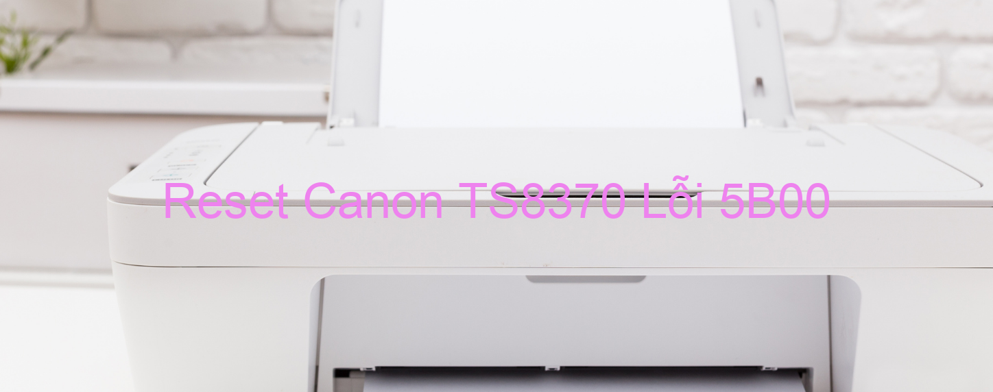 Reset Canon TS8370 Lỗi 5B00