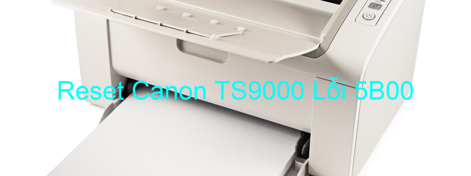Reset Canon TS9000 Lỗi 5B00
