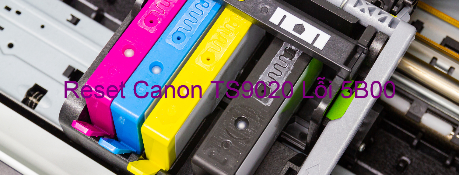 Reset Canon TS9020 Lỗi 5B00
